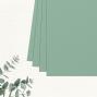 Preview: Cardstock "Premium" - Bastelpapier 220g/m² DIN A4 in eukalyptus