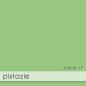 Preview: Karte - Einlegekarte DIN A6 240g/m² in pistazie