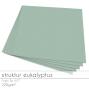 Cardstock "Struktur" 12"x12"  220g/m² (30,5 x 30,5cm) in struktur eukalyptus