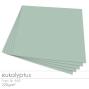 Cardstock "Premium" 12"x12" 220g/m² (30,5 x 30,5cm) in eukalyptus