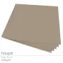 Cardstock "Premium" 12"x12"  220g/m² (30,5 x 30,5cm) in taupe