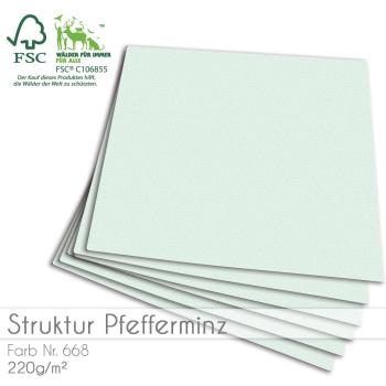 Cardstock "Struktur" 12"x12" 210g/m² (30,5 x 30,5cm) in struktur pfefferminz