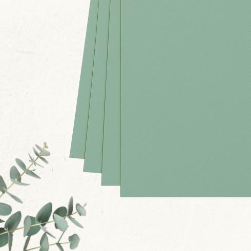 Cardstock "Premium" - Bastelpapier 220g/m² DIN A4 in eukalyptus