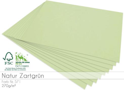 Cardstock "Natur" - Bastelpapier 270g/m² DIN A4 in natur zartgrün - 5 Bogen