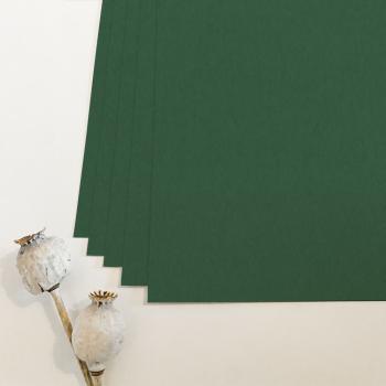 Preview: Cardstock "Premium" 12"x12" 225g/m² (30,5 x 30,5cm) in waldgrün