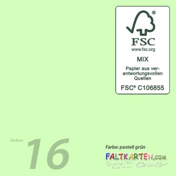 Cardstock 12"x24" 240g/m² (30,5 x 61cm) in pastell grün