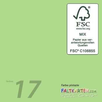 Cardstock 12"x24" 240g/m² (30,5 x 61cm) in pistazie