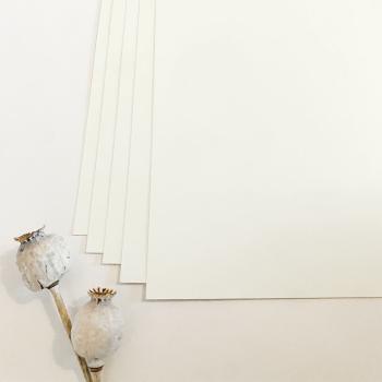 Cardstock "Premium" - Bastelpapier 240g/m² DIN A4 in elfenbein - 25 Bogen