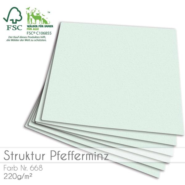 Cardstock "Struktur" 12"x12" 210g/m² (30,5 x 30,5cm) in struktur pfefferminz