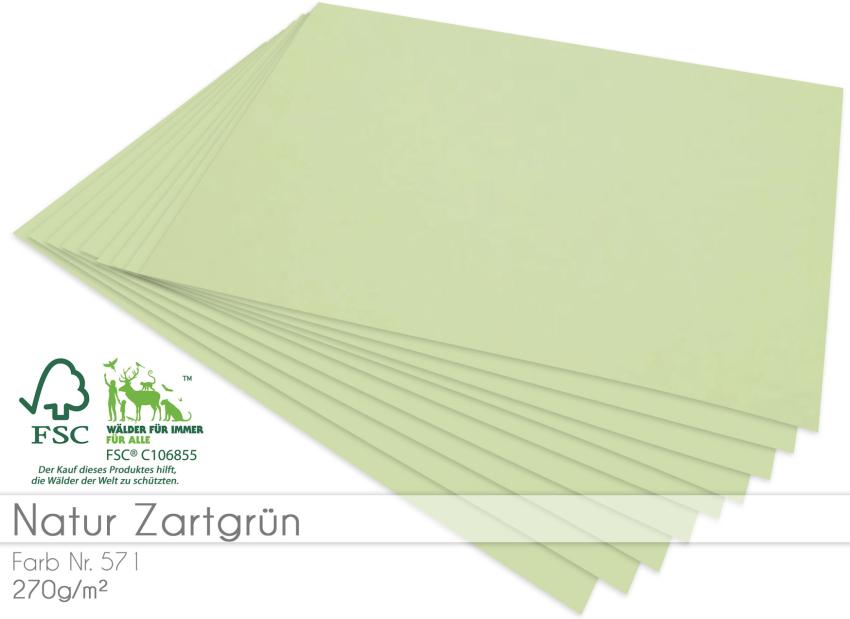 Cardstock "Natur" - Bastelpapier 270g/m² DIN A4 in natur zartgrün - 5 Bogen