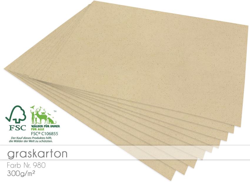 Cardstock "Recycling" - Bastelpapier 300g/m² DIN A4 in Graskarton