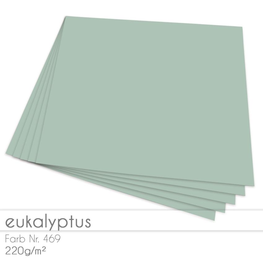 Cardstock "Premium" 12"x12" 220g/m² (30,5 x 30,5cm) in eukalyptus