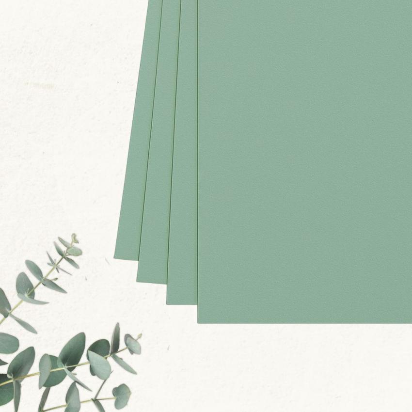 Cardstock "Premium" - Bastelpapier 220g/m² DIN A4 in eukalyptus - 5 Bogen