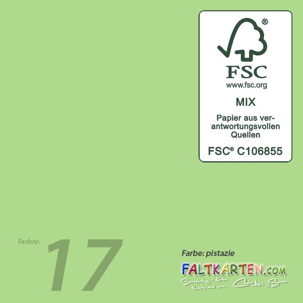 Cardstock 12"x24" 240g/m² (30,5 x 61cm) in pistazie